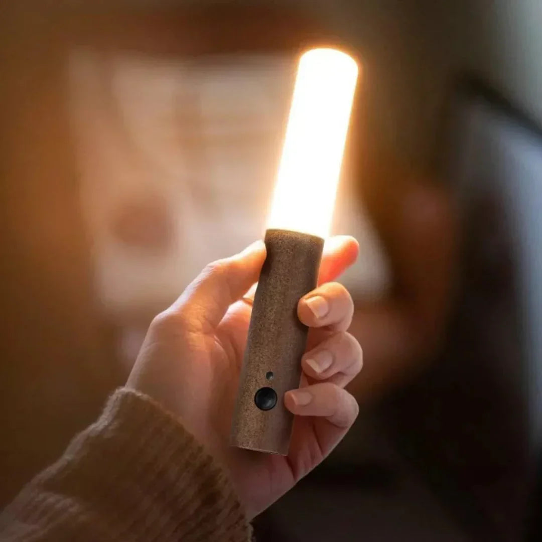 LUMINÁRIA RECARREGÁVEL COM SENSOR DE MOVIMENTO - WELL TOOLS®
